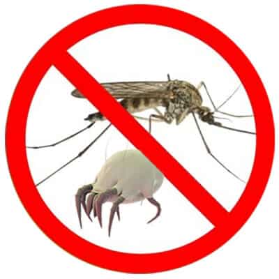 CoolXTherm Anti-Insectes Peinture anti: moustique, acarien... ininflammable, bouclier thermique