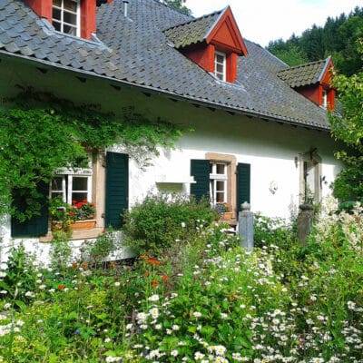 CoolXTherm Anti-Insectes Peinture anti: moustique, acarien... ininflammable, bouclier thermique