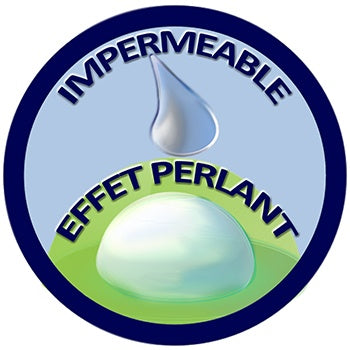 Peinture Nacre Satiné