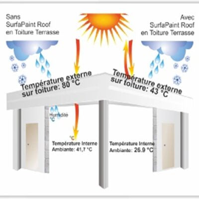 SurfaPaint ThermoDry Roof